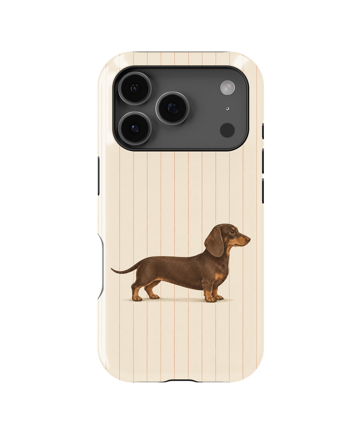 Brown Dachshund on Cream Pinstripes MagSafe iPhone Tough Case, rear view, iPhone17-18Pro model image group