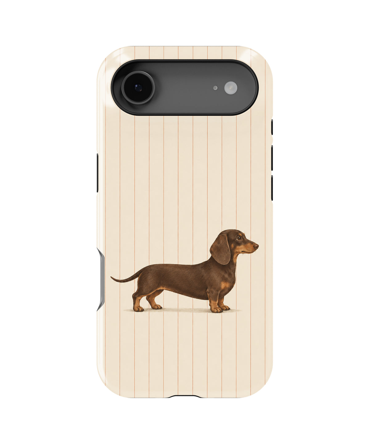 Brown Dachshund on Cream Pinstripes MagSafe iPhone Tough Case, rear view, iPhone17Air model image group